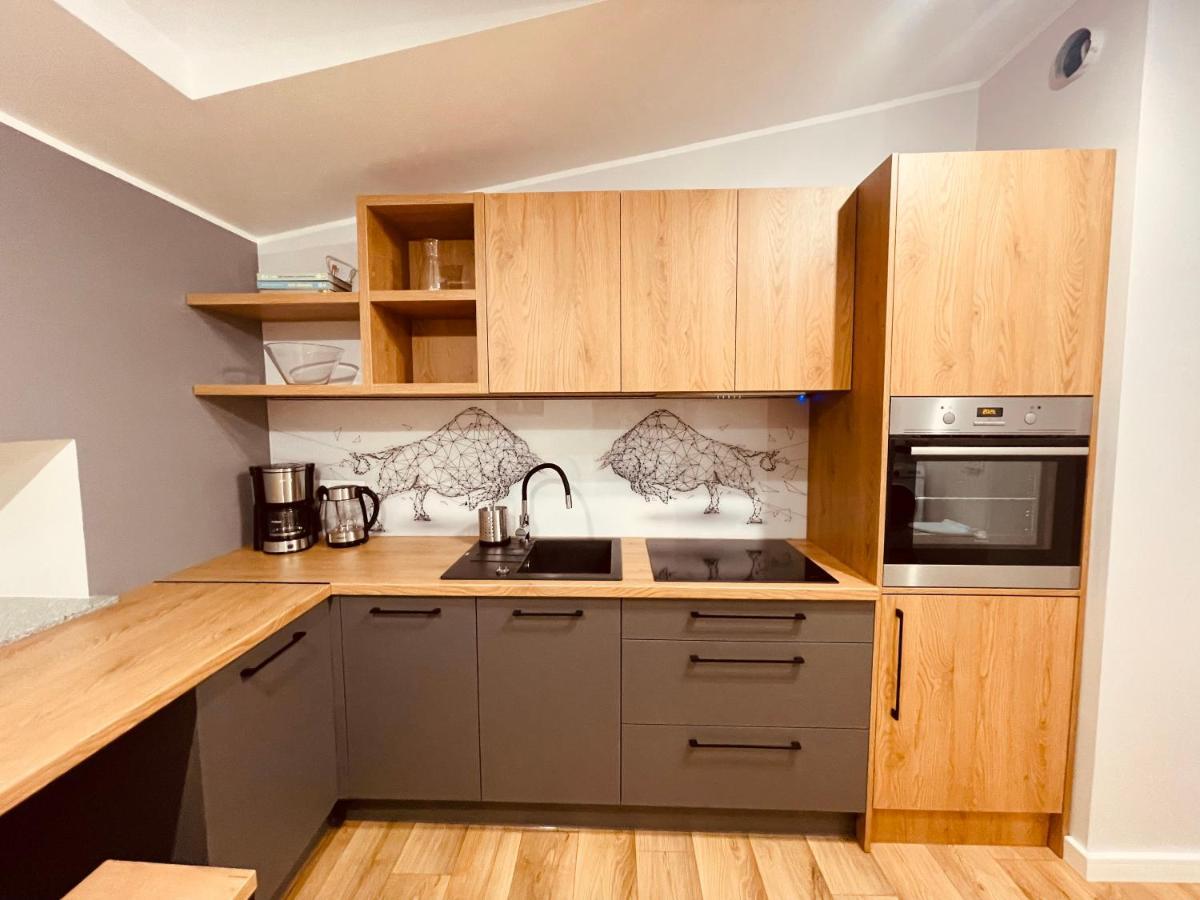 Apartamenty KTW Kościuszki 41 - SKY&DESIGN Katowice Zewnętrze zdjęcie