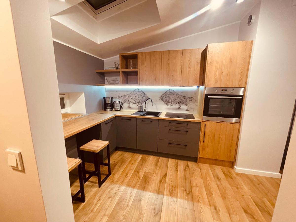 Apartamenty KTW Kościuszki 41 - SKY&DESIGN Katowice Zewnętrze zdjęcie